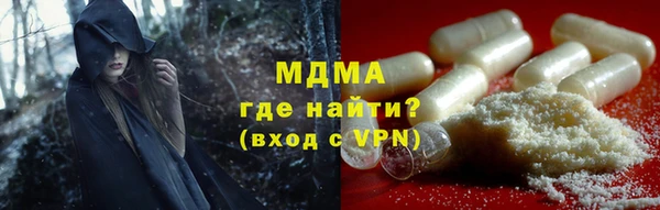 PSILOCYBIN Алзамай