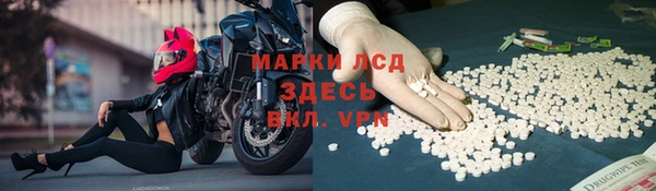 крисы Абаза