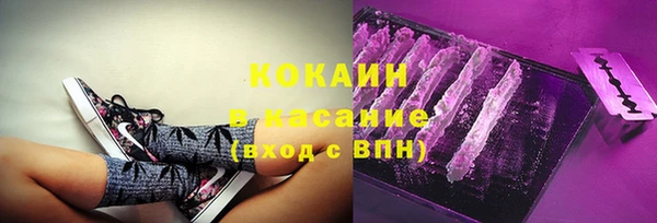 крисы Абаза