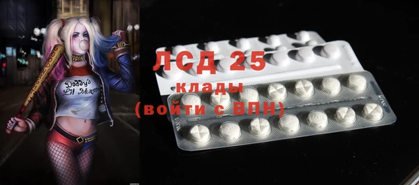 PSILOCYBIN Алзамай