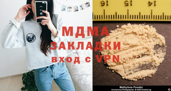 PSILOCYBIN Алзамай