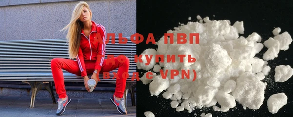 крисы Абаза